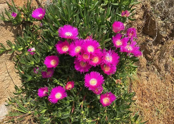 Ioanna's House Vendégház 3*